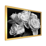 Bunch of Roses Black and White