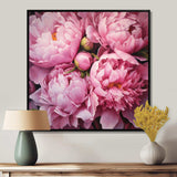 Pink Green Peony Captivating II - Floral Canvas Wall Art