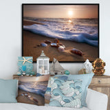 Waves Approaching Seashells on Sand