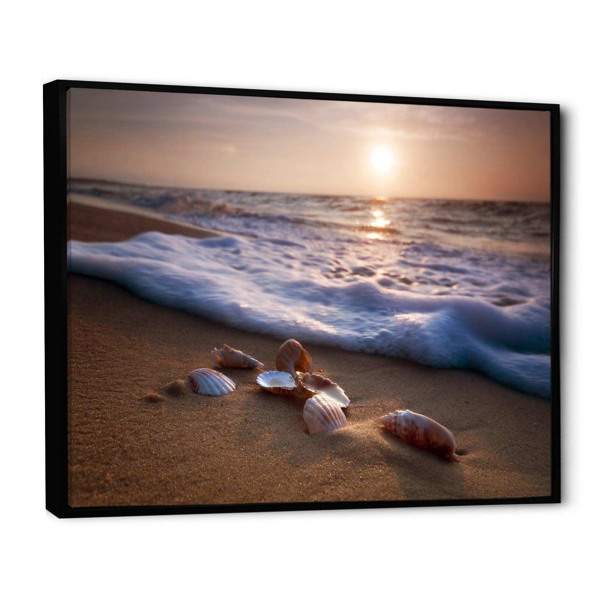 Waves Approaching Seashells on Sand