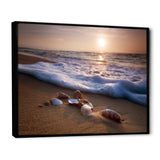 Waves Approaching Seashells on Sand