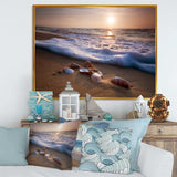 Waves Approaching Seashells on Sand