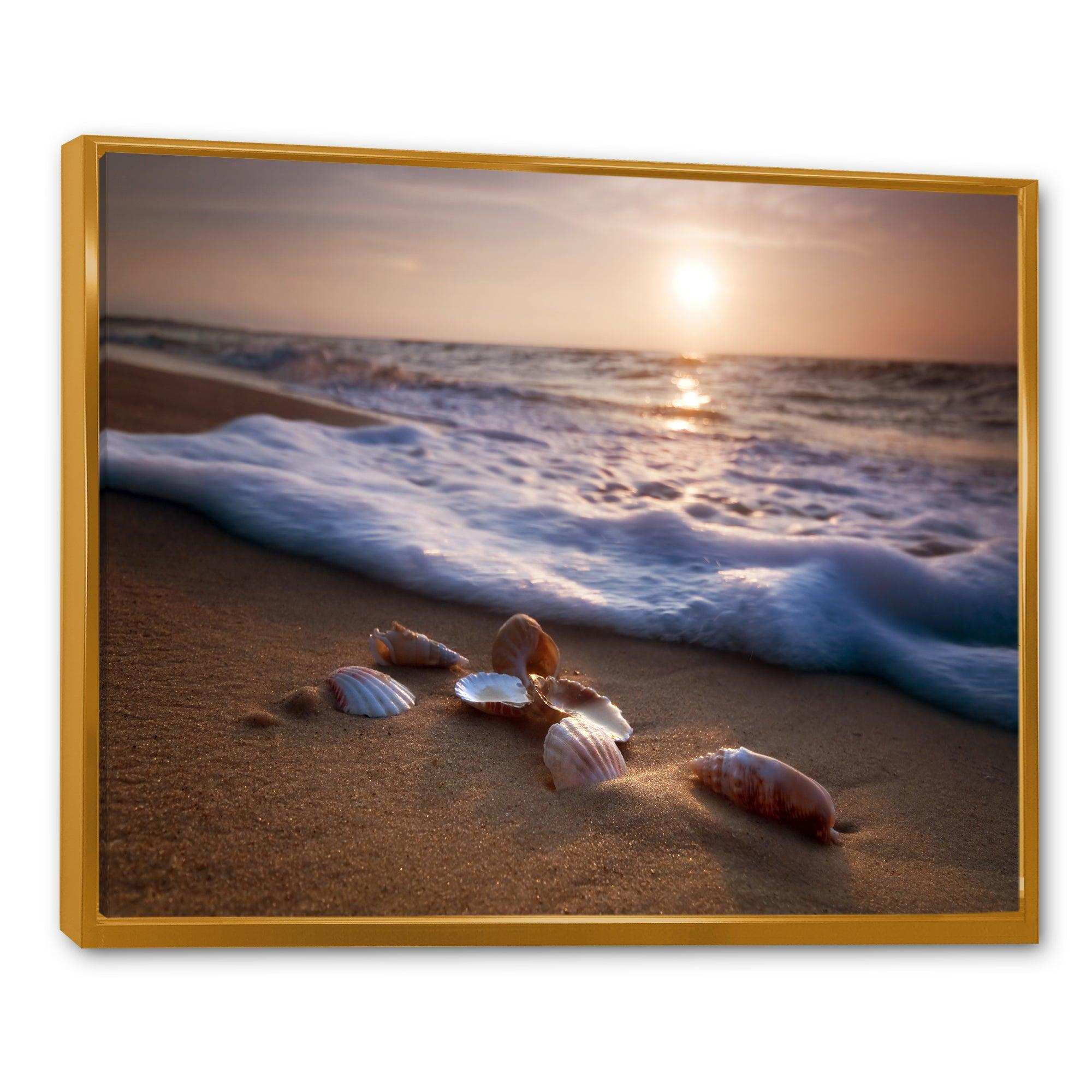 Waves Approaching Seashells on Sand