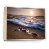 Waves Approaching Seashells on Sand