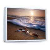 Waves Approaching Seashells on Sand
