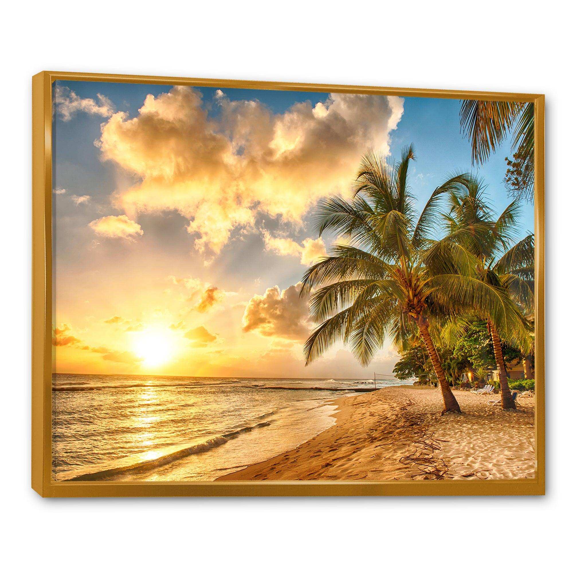 Gorgeous Beach of Island Barbados