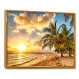 Gorgeous Beach of Island Barbados