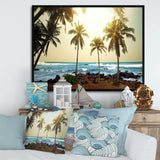 Rocky Tropical Beach with Palms