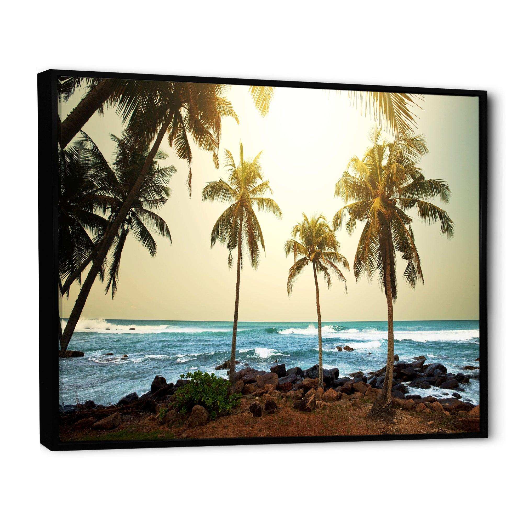 Rocky Tropical Beach with Palms