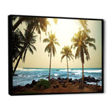 Rocky Tropical Beach with Palms