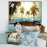 Rocky Tropical Beach with Palms