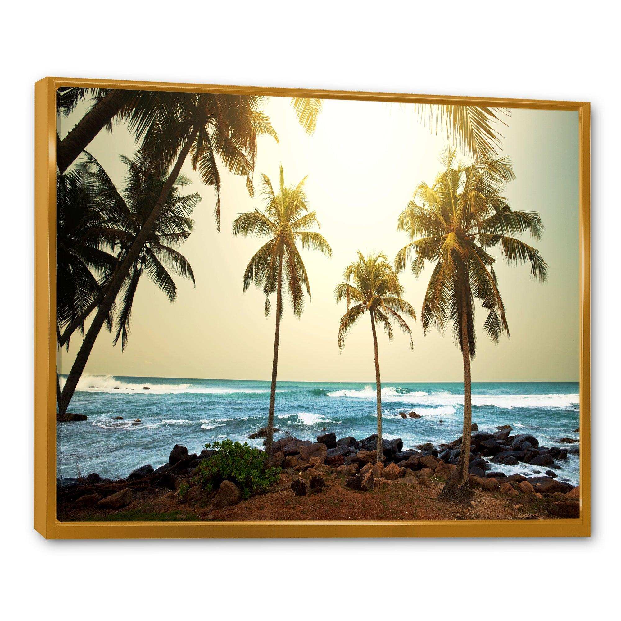 Rocky Tropical Beach with Palms