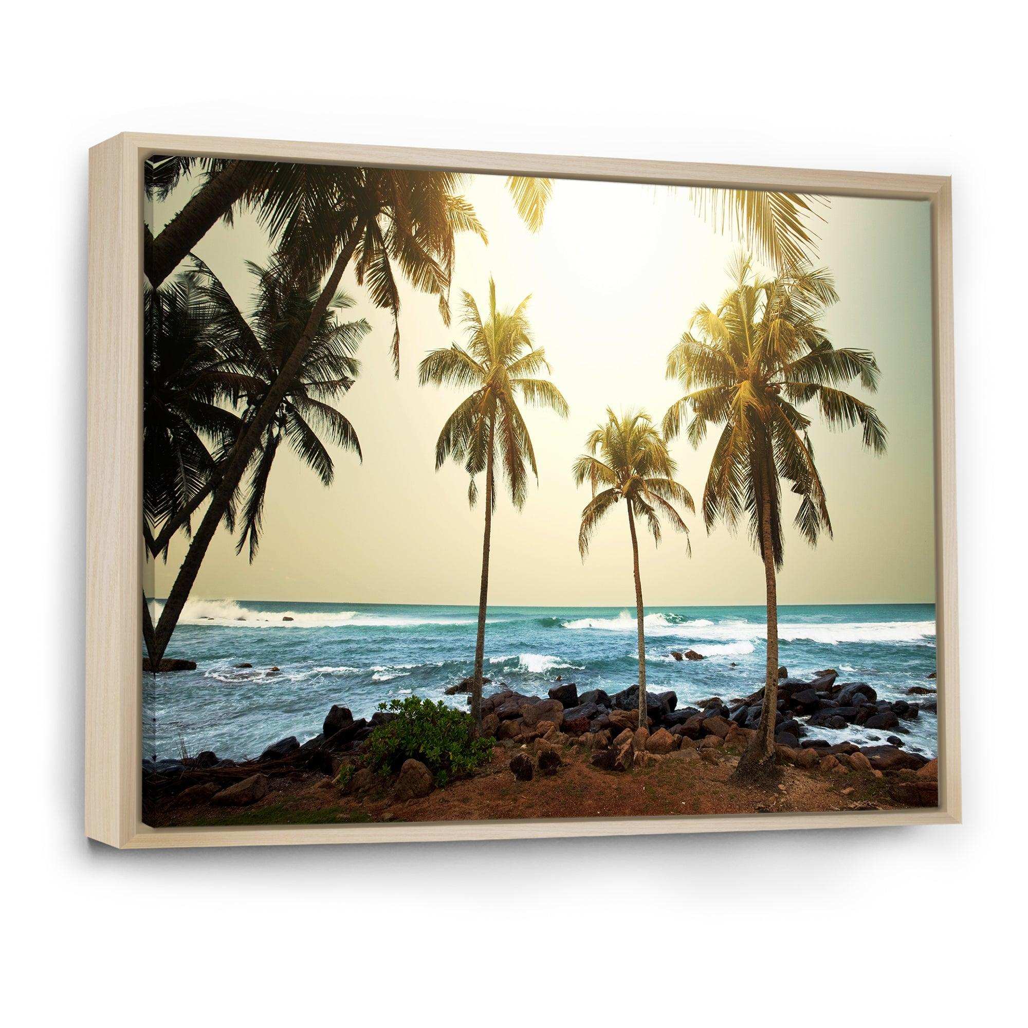 Rocky Tropical Beach with Palms