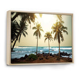 Rocky Tropical Beach with Palms