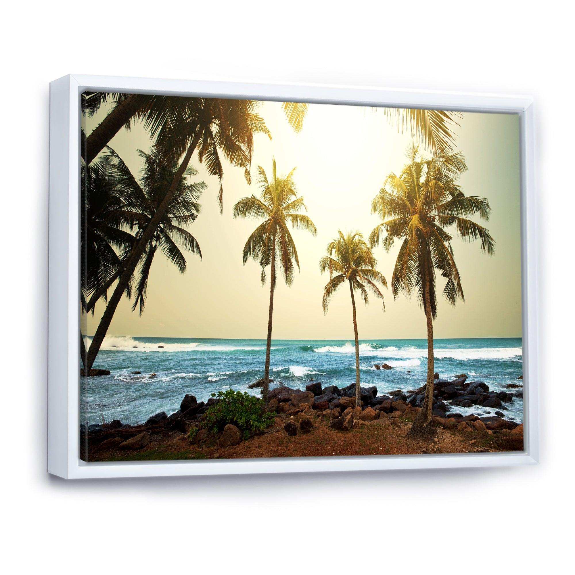 Rocky Tropical Beach with Palms
