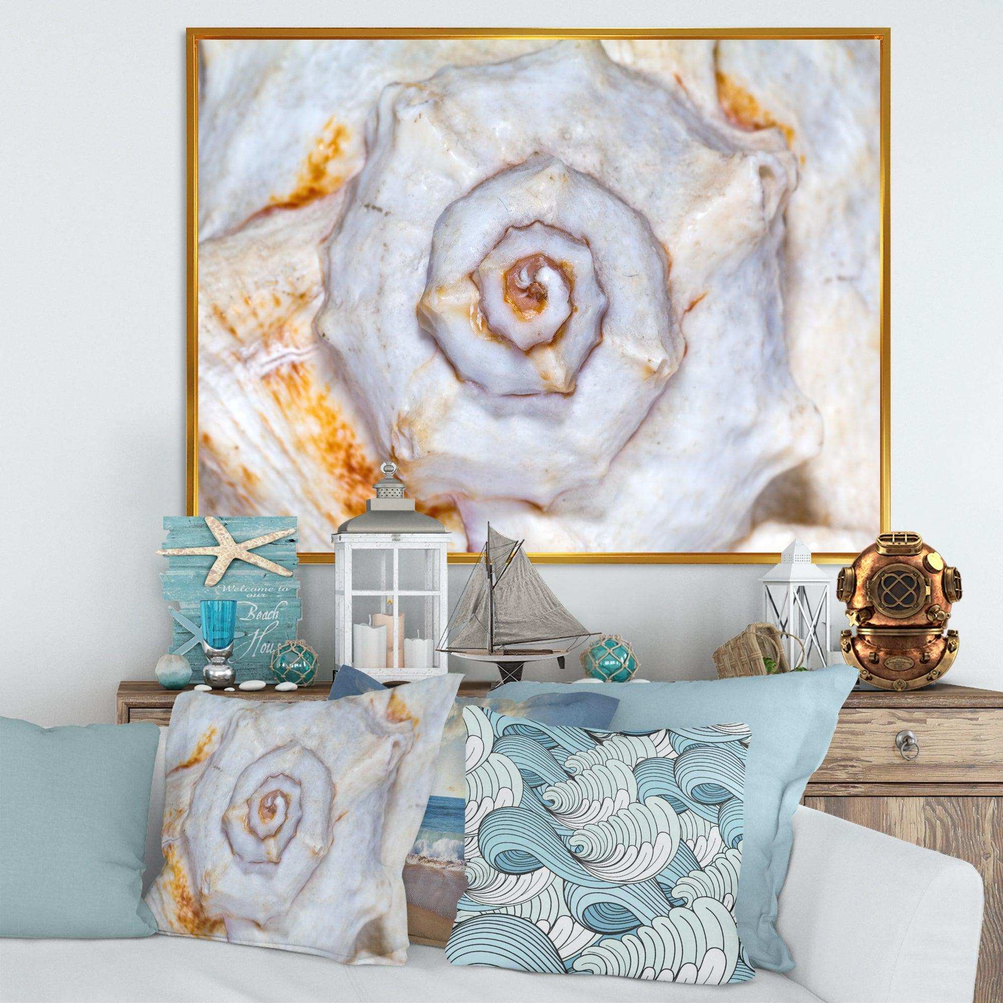 Great Skeleton of Sea Shell