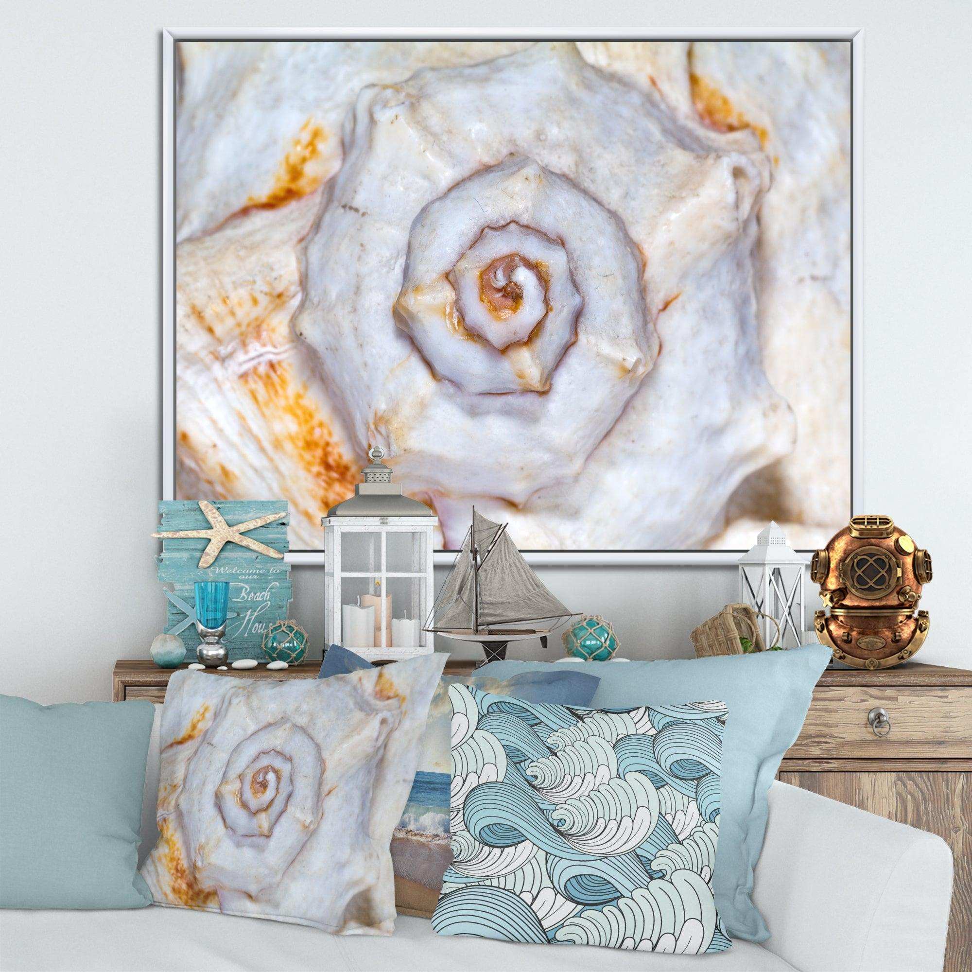 Great Skeleton of Sea Shell