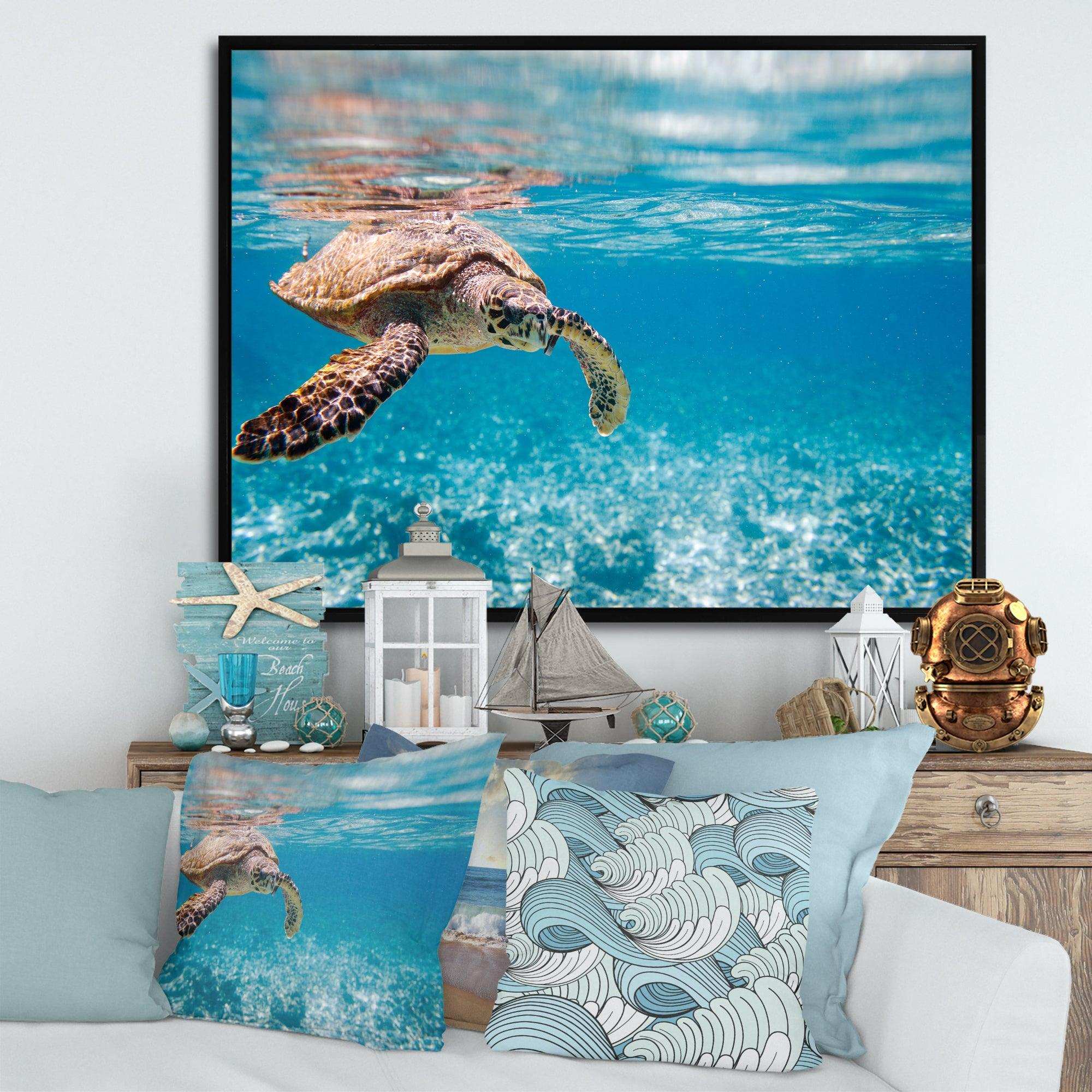 Large Hawksbill Sea Turtle