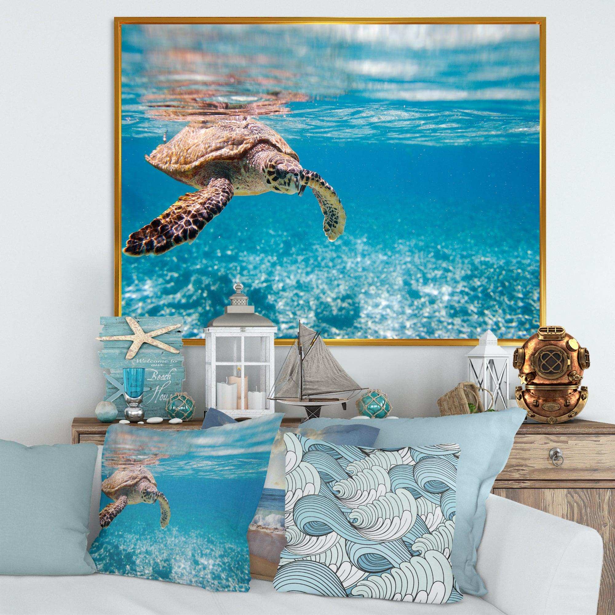 Large Hawksbill Sea Turtle