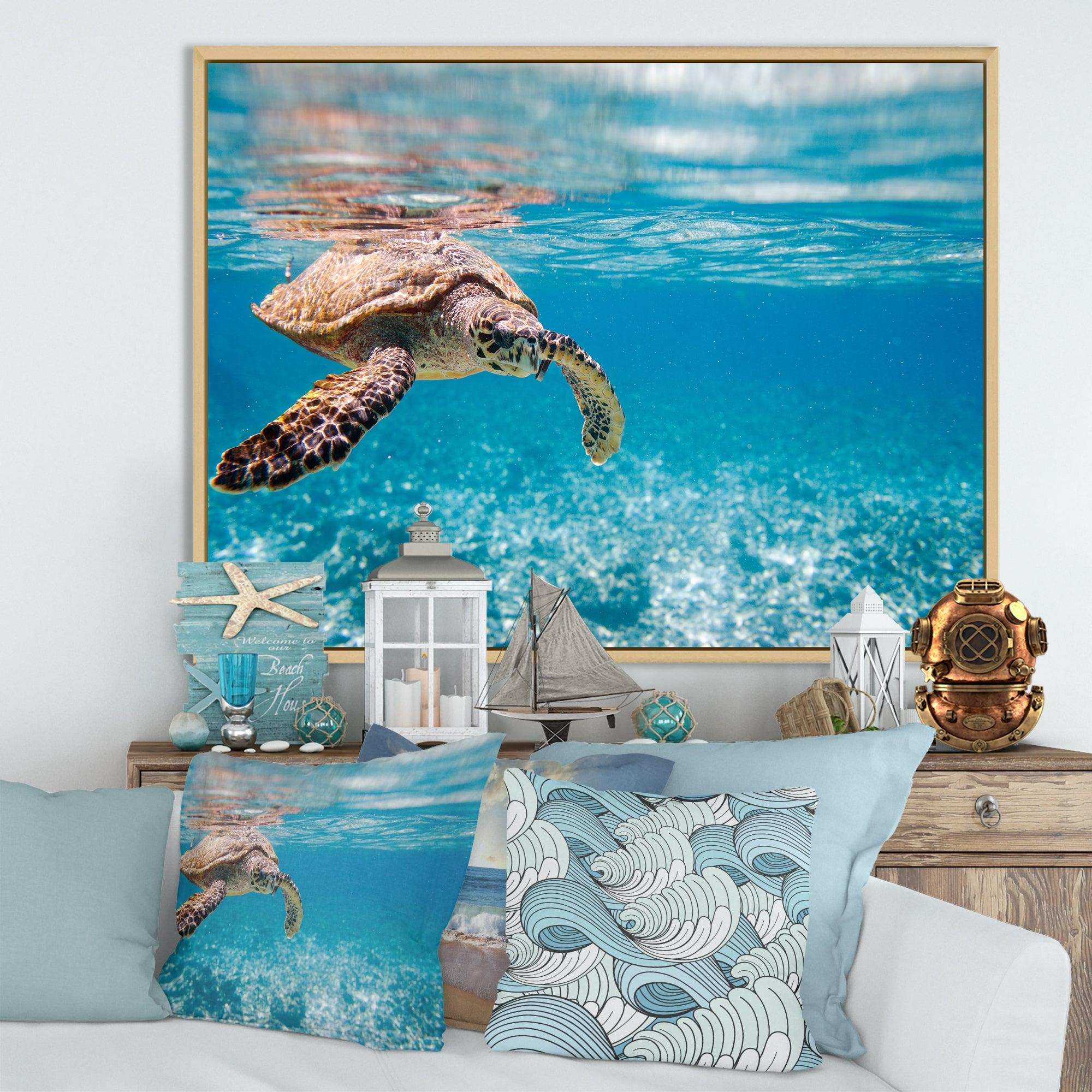 Large Hawksbill Sea Turtle