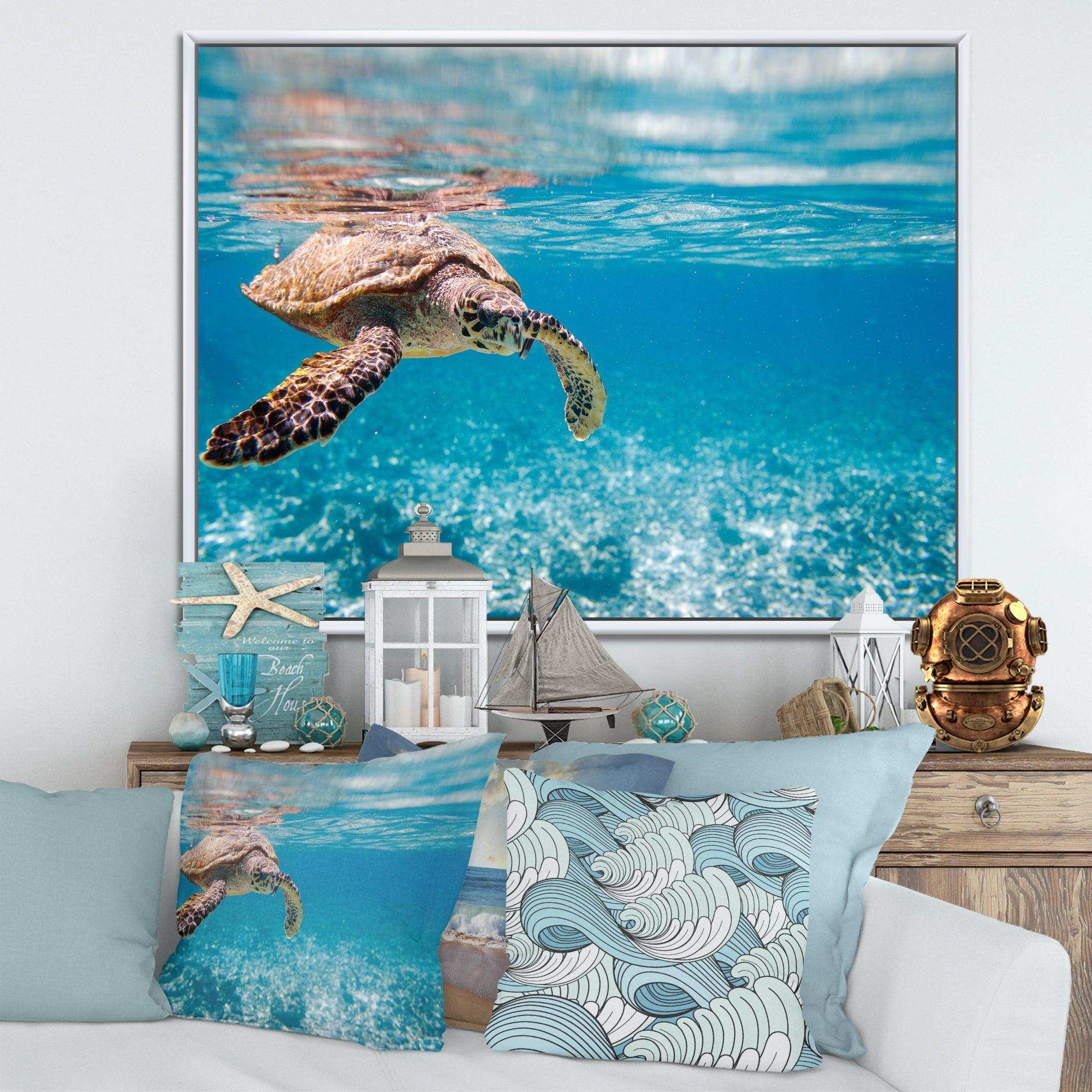 Large Hawksbill Sea Turtle