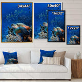 Large Sea Turtle underwater