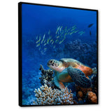 Large Sea Turtle underwater