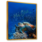 Large Sea Turtle underwater