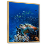 Large Sea Turtle underwater