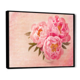 Peony Flowers against Scribbled Back