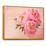 Peony Flowers against Scribbled Back