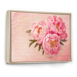 Peony Flowers against Scribbled Back