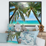 Palm Hanging over Sandy White Beach