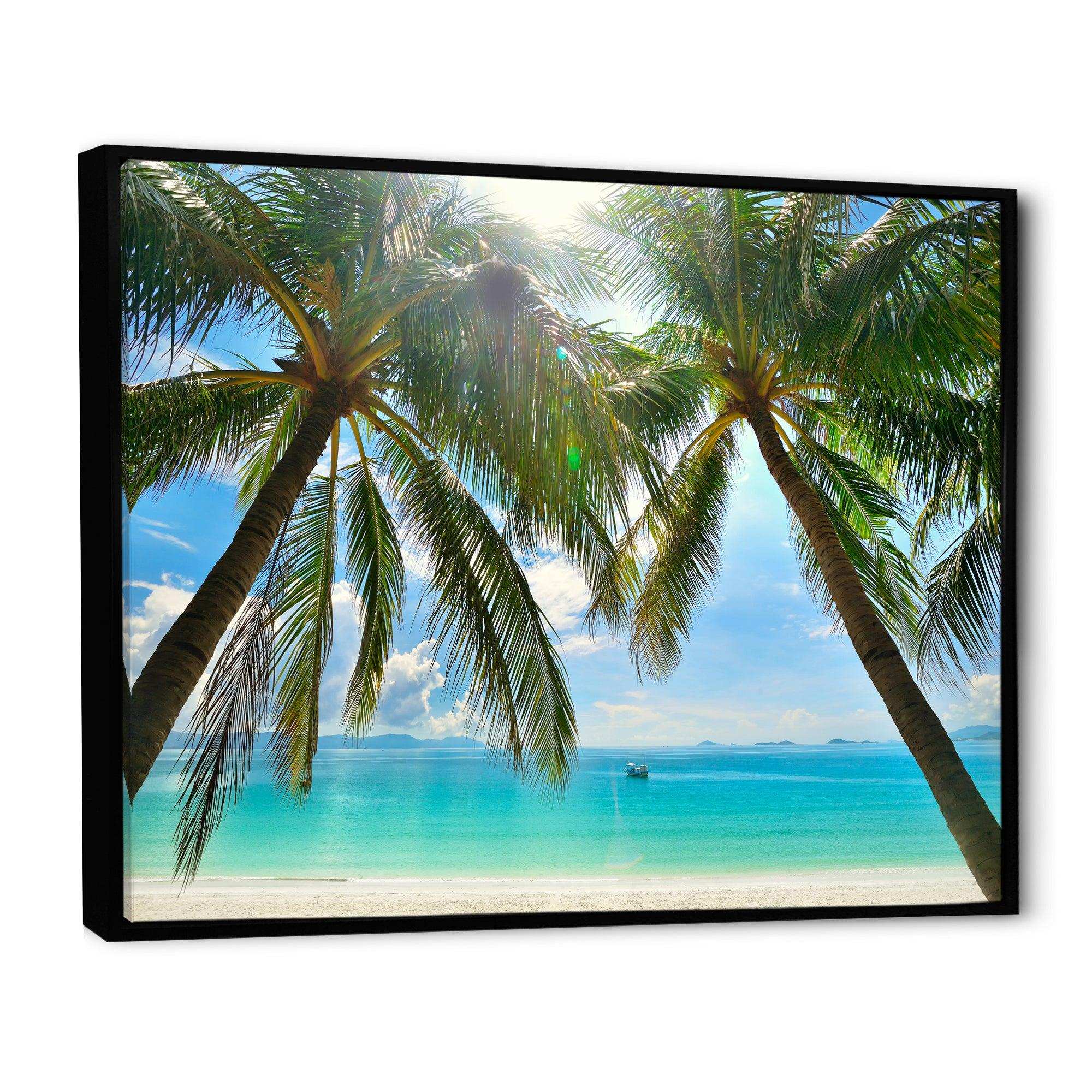 Palm Hanging over Sandy White Beach