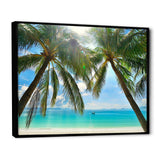 Palm Hanging over Sandy White Beach