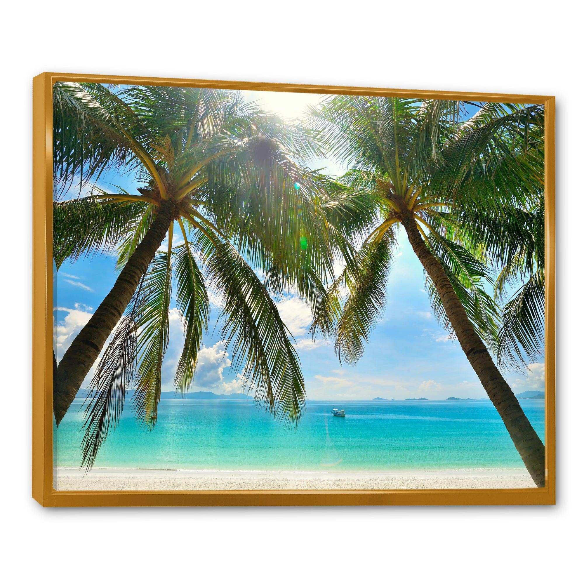 Palm Hanging over Sandy White Beach