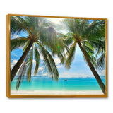 Palm Hanging over Sandy White Beach