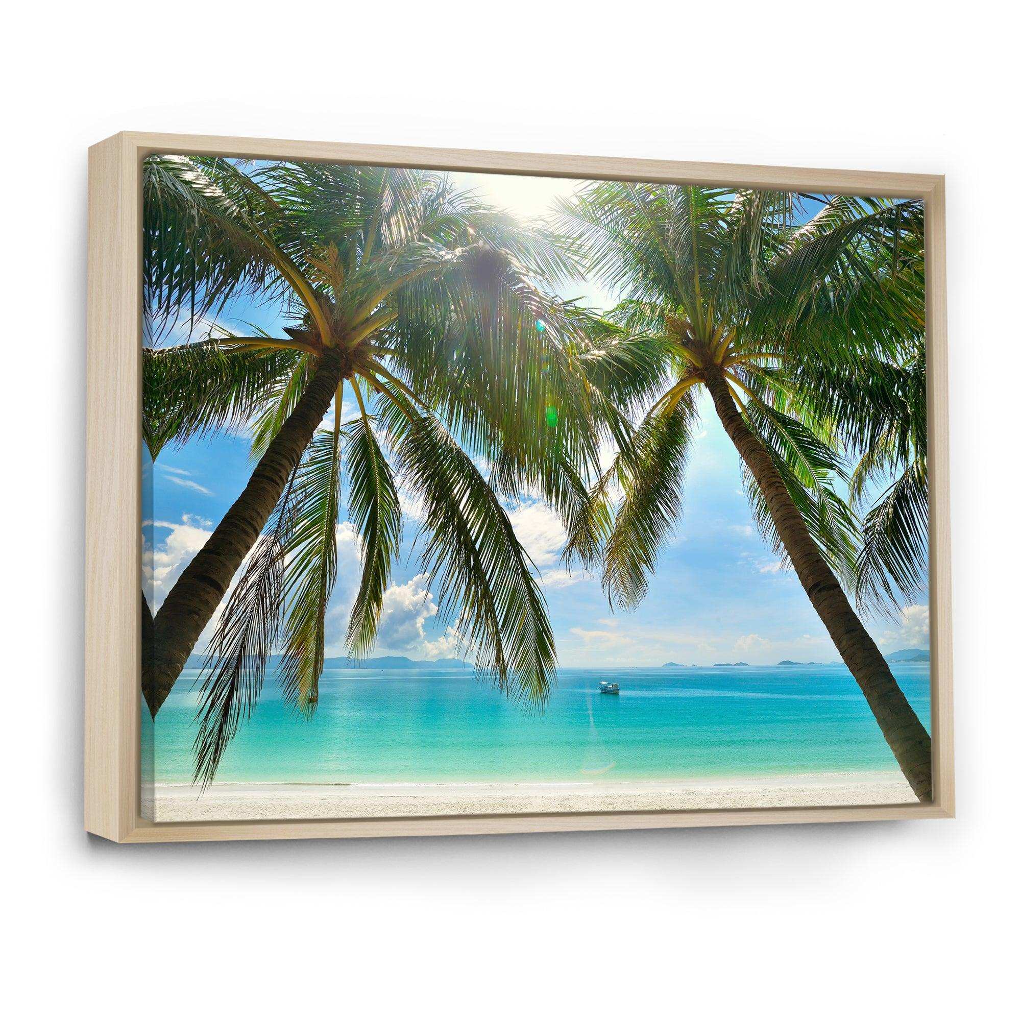 Palm Hanging over Sandy White Beach