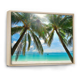 Palm Hanging over Sandy White Beach