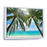Palm Hanging over Sandy White Beach