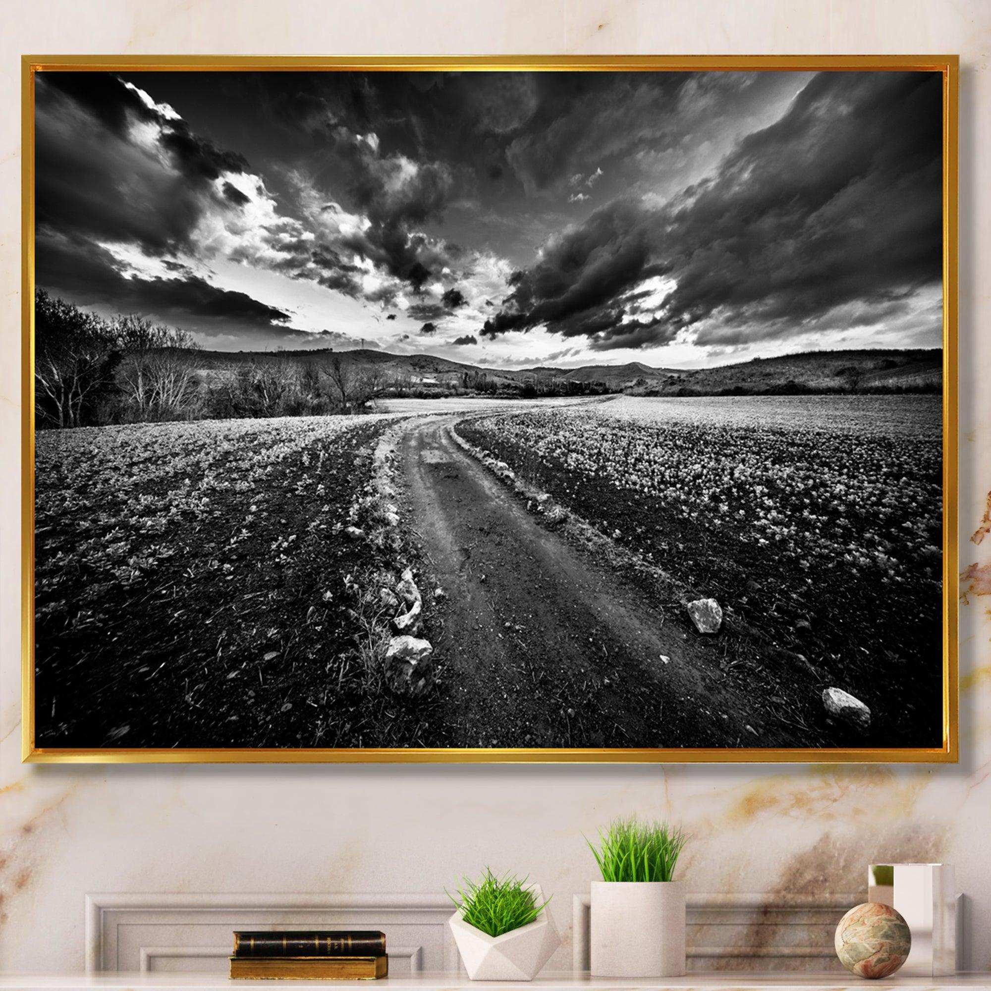 Black White Landscape from Sardinia