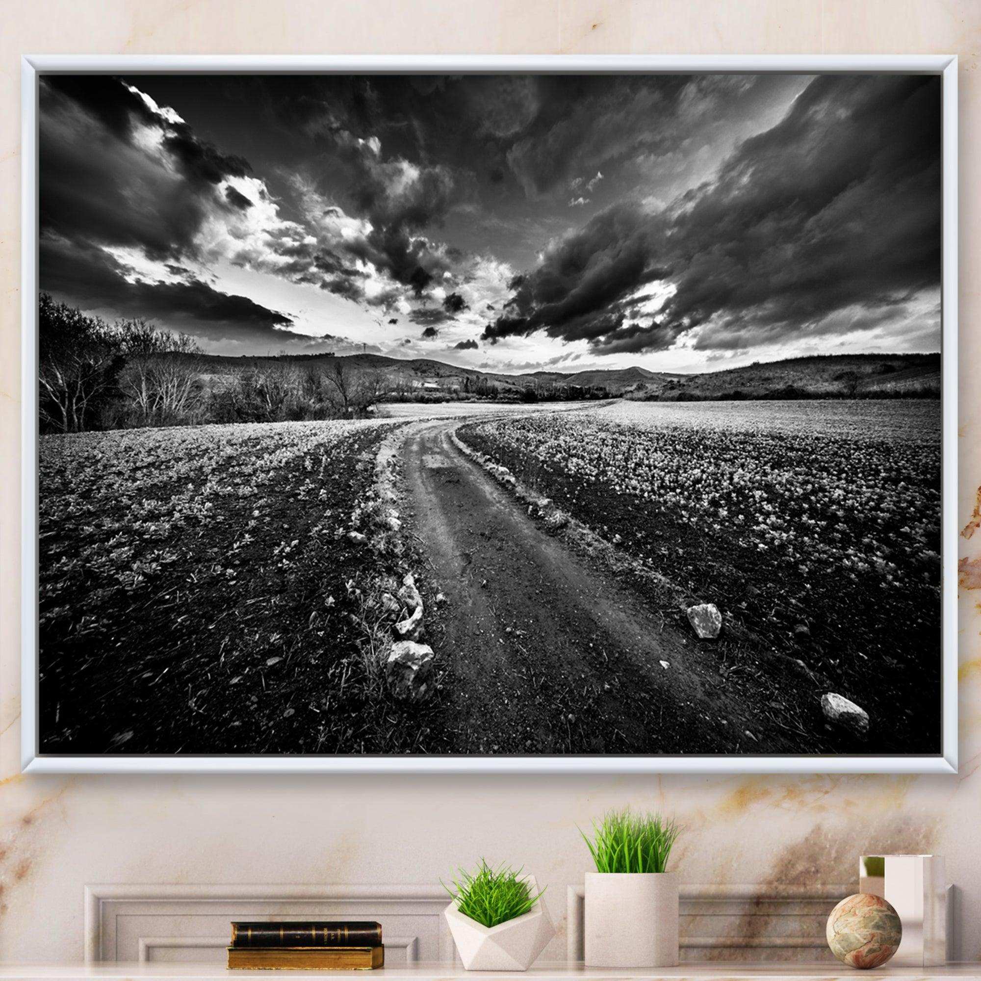 Black White Landscape from Sardinia