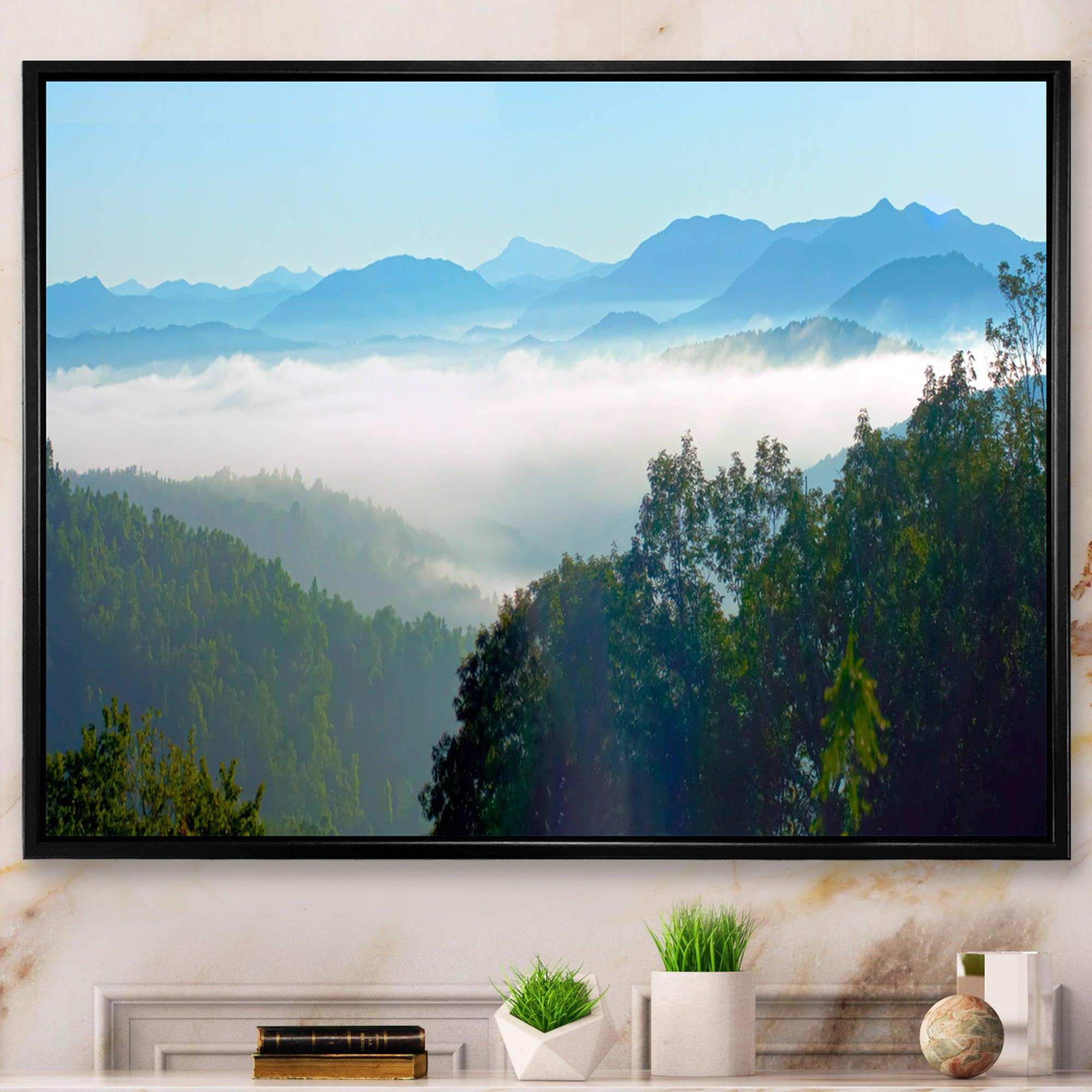 Morning in Blue Ridge Parkway