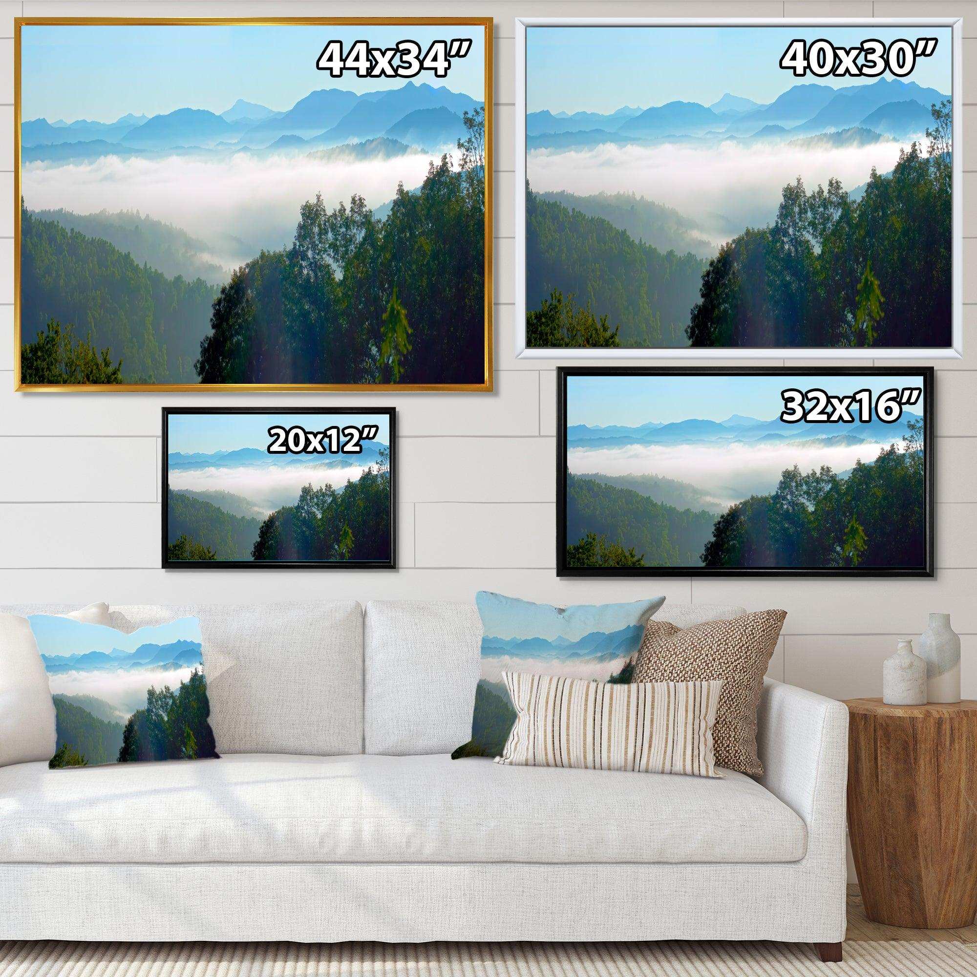 Morning in Blue Ridge Parkway