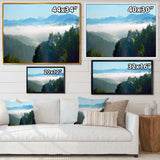 Morning in Blue Ridge Parkway