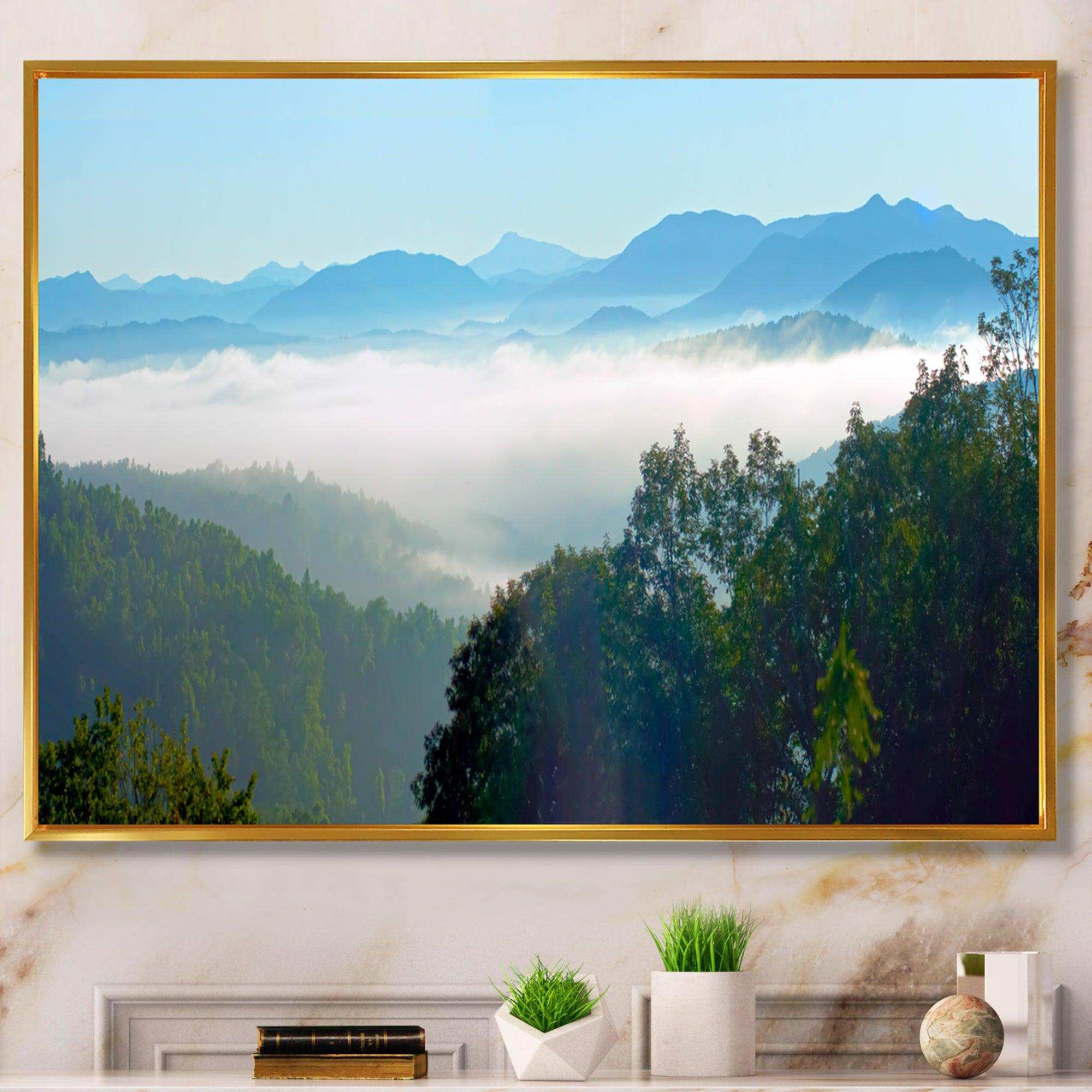 Morning in Blue Ridge Parkway