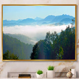 Morning in Blue Ridge Parkway