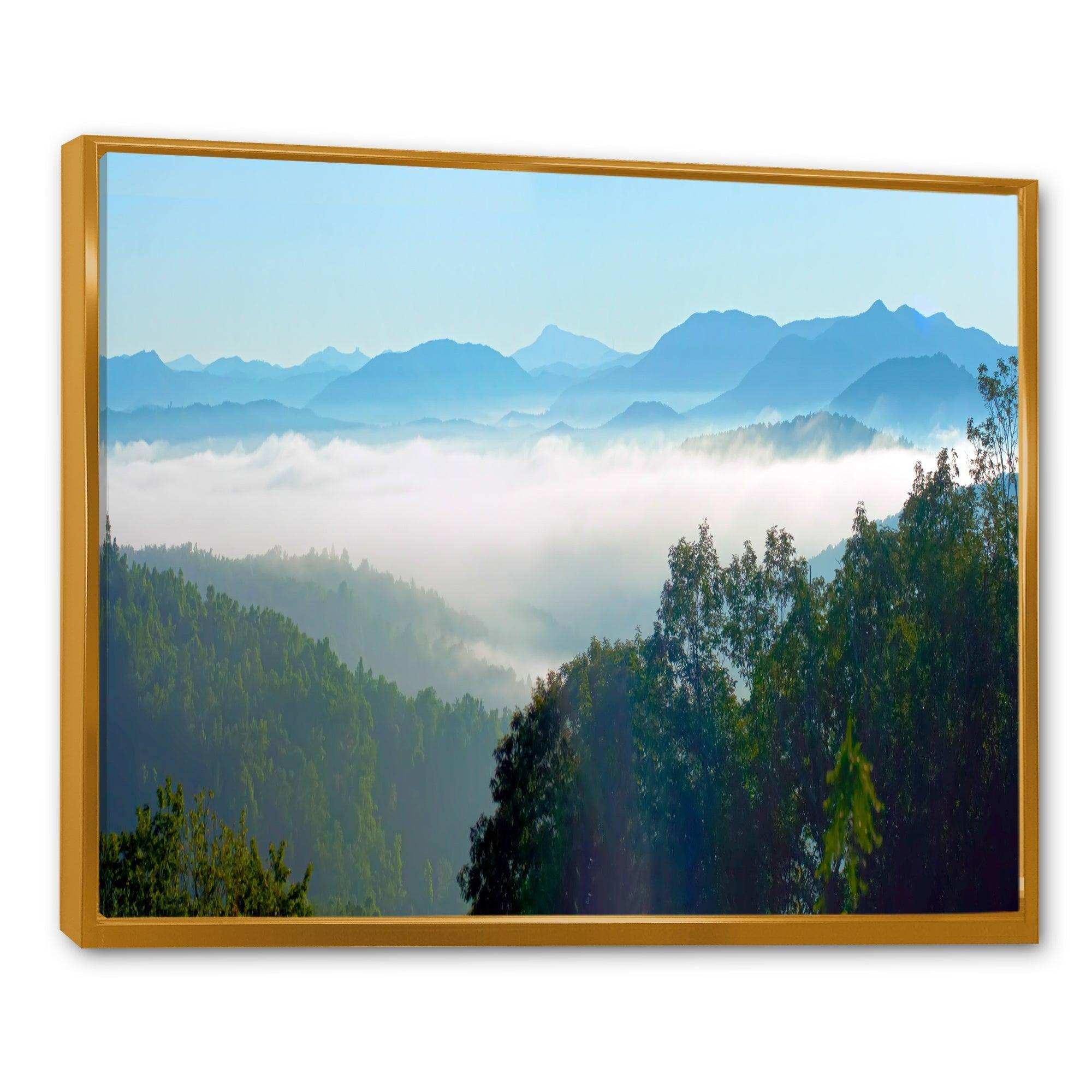 Morning in Blue Ridge Parkway