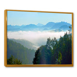 Morning in Blue Ridge Parkway