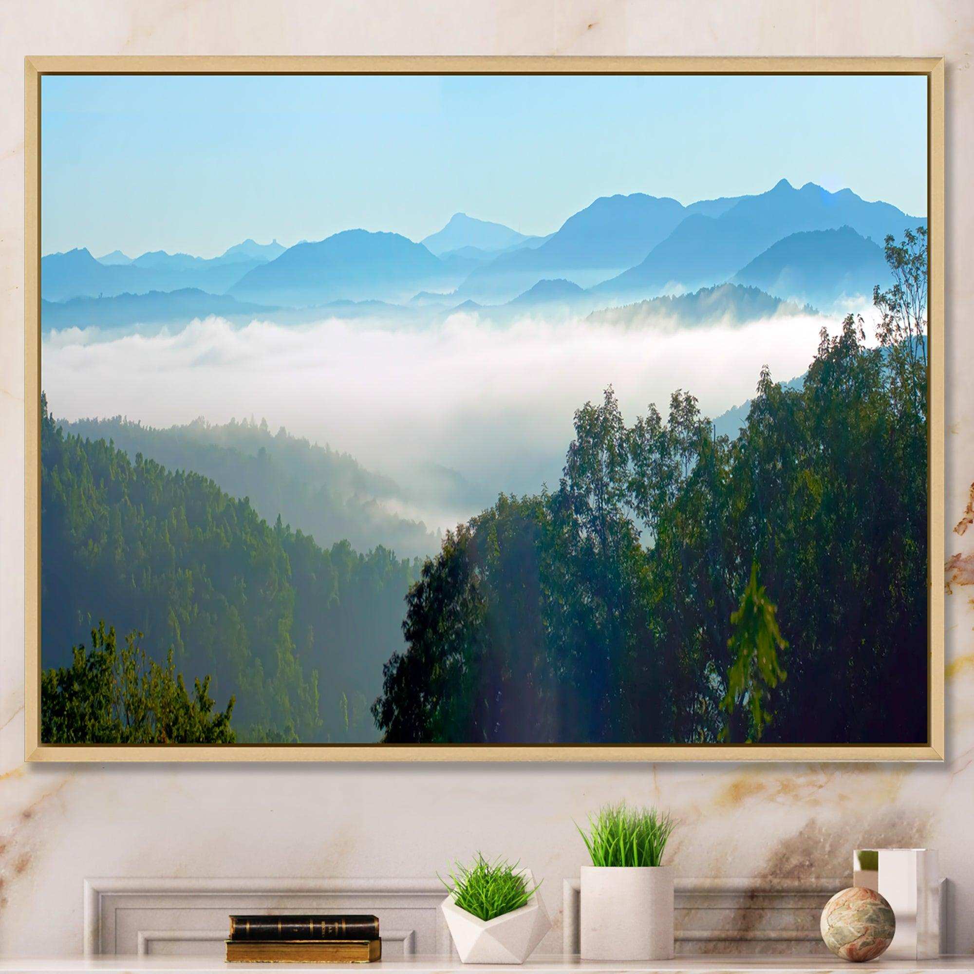 Morning in Blue Ridge Parkway